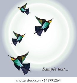 Background with birds vector illustration