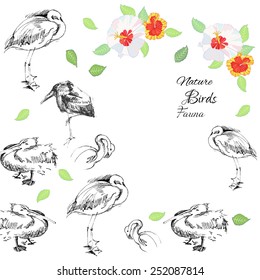Background with birds.Vector Illustration