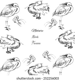 Background with birds.Vector Illustration