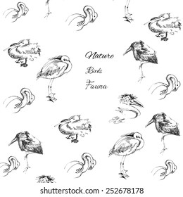 Background with birds.Vector Illustration