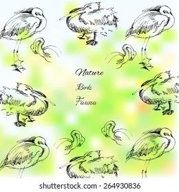 Background with birds.Vector Illustration