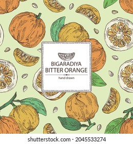 Hintergrund mit bitter Orange: Bigaradia Frucht, Blätter und bittere Orangenscheibe. Citrus aurantium.Citrus medica handgezeichnet Vektorgrafik