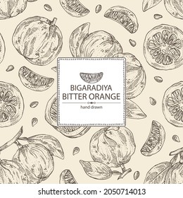 Hintergrund mit bitter Orange: Bigaradia Frucht, Blätter und bittere Orangenscheibe. Citrus aurantium.Citrus medica handgezeichnet Vektorgrafik