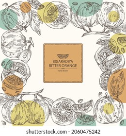 Fondo con naranja amargo: fruta de la bigaradía, hojas y trozo amargo de naranja. Citrus aurantium.Citrus medicus ilustración de vector dibujada a mano