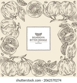Hintergrund mit bitter Orange: Bigaradia Frucht, Blätter und bittere Orangenscheibe. Citrus aurantium.Citrus medica handgezeichnet Vektorgrafik