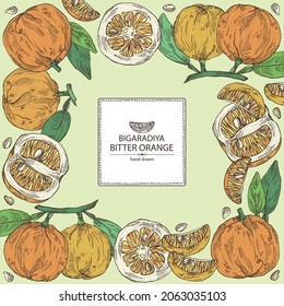 Hintergrund mit bitter Orange: Bigaradia Frucht, Blätter und bittere Orangenscheibe. Citrus aurantium.Citrus medica handgezeichnet Vektorgrafik