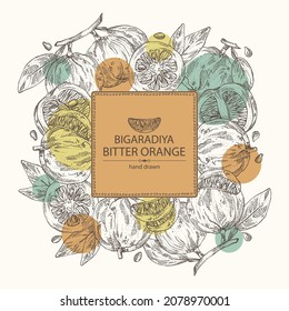 Fondo con naranja amargo: fruta de la bigaradía, hojas y trozo amargo de naranja. Citrus aurantium.Citrus medicus ilustración de vector dibujada a mano