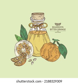 Background With Bitter Orange: Bigaradia Fruit, Leaves, Bitter Orange Slice And Bottle Of Bigaradia Essential Oil. Citrus Aurantium. Cosmetic, Perfumery And Medical Plant