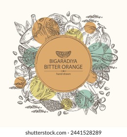 Background with bitter orange: bigaradia  fruit, leaves and bitter orange slice. Citrus aurantium. Oil, soap and bath salt . Cosmetics and medical plant. Vector hand drawn illustration