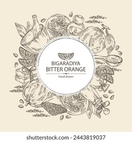 Background with bitter orange: bigaradia  fruit, leaves and bitter orange slice. Citrus aurantium. Oil, soap and bath salt . Cosmetics and medical plant. Vector hand drawn illustration