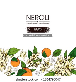 Background with bitter orange flowers, buds, fruits . Detailed hand-drawn sketches, vector botanical illustration.