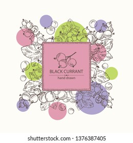 Background with black currant: black currant berries and leaves. Vector hand drawn illustration 