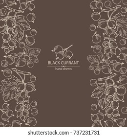 Background with black currant: black currant berries and leaves. Vector hand drawn illustration