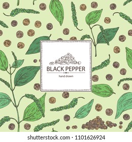 Background with black pepper: plant, pepper and leaves. Vector hand drawn illustration. 
