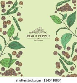 Background with black pepper: plant, pepper and leaves. Vector hand drawn illustration. 
