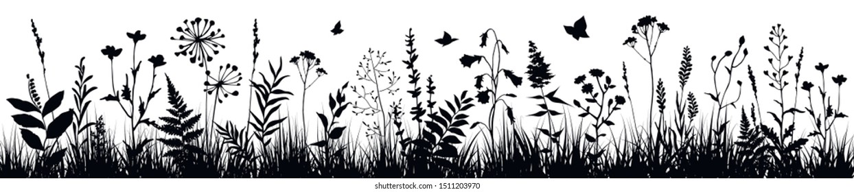 Background with black silhouettes of meadow wild herbs and flowers. Wildflowers. Floral background. Wild grass. Vector illustration.