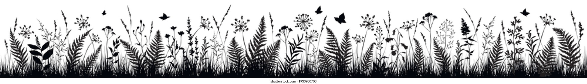 Background with black silhouettes of meadow wild herbs. Wildflowers. Floral background. Vector illustration.