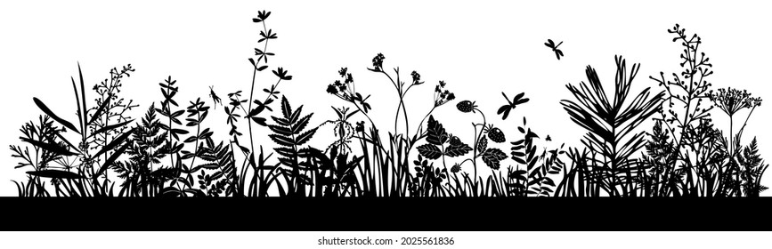 Background with black silhouettes of meadow wild herbs and flowers. Wildflowers. Wild grass. Set of silhouettes of botanical elements. 