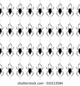 Background from black spiders in a row on a spider web on a white background