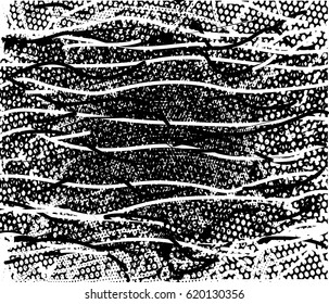 Animal Skin Leopard Pattern Vector Stock Vector (Royalty Free) 1160436427