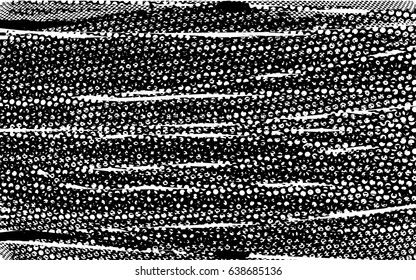 Background black and white abstract texture vector with  dark spots, nets, lines and scratches