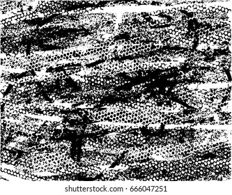 Background black and white abstract texture vector with  dark spots, scratches, nets and lines 