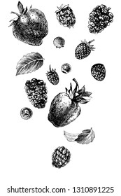 Background with black and white falling berries - raspberry, blueberry, blackberry, strawberry and mint leaves. Hand drawn vector illustration