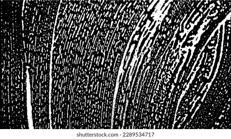 Background with black and white soap grunge stains. Sponge spots. Foam water. Liquid on glass. Foam texture. Template with foam splash. Soap bubbles. Cleaning. Washing the surface with foam sponge