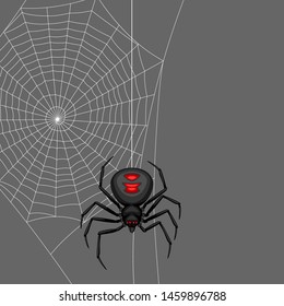 Background with black widow spider. Banner for Halloween holiday.