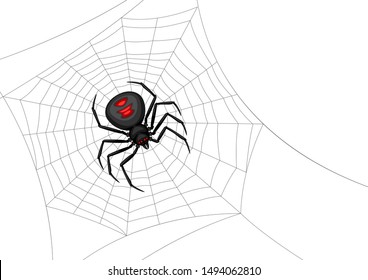Background with black widow spider. Banner for Halloween holiday.