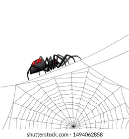 Background with black widow spider. Banner for Halloween holiday.