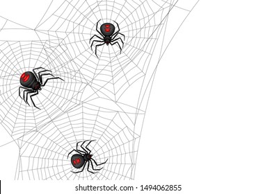 Background with black widow spiders. Banner for Halloween holiday.