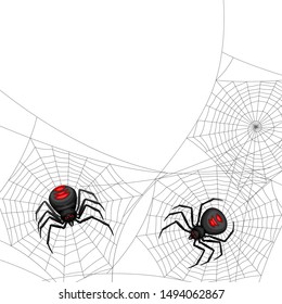Background with black widow spiders. Banner for Halloween holiday.