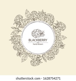 Background with blackberry: a branch, berries, leaves. Vector hand drawn illustration