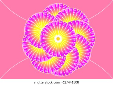 Background of blooming flowers