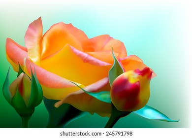 Background with blooming yellow rose.  Illustration contains gradient meshes.