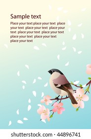 Background with blossom and bird