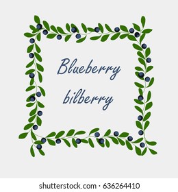 Background with blueberry. Vector background with branches, berries and leaves blueberry.