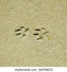 background - Blurred dog footprints in the sand / beach