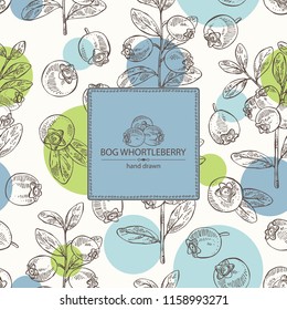 Background with bog whortleberry: branch of bog whortleberry and leaves. Vector hand drawn illustration