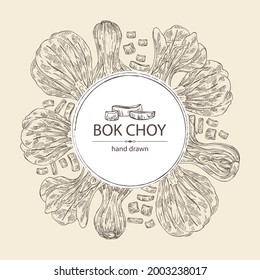 Background with bok choy: plant and piece of pak choi. Vector hand drawn illustration. 