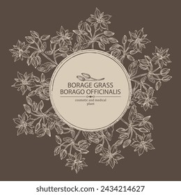 Background with borago officinalis: borago officinalis plant, leaves and borago officinalis flowers. Borage grass. Cosmetic, perfumery and medical plant. Vector hand drawn illustration