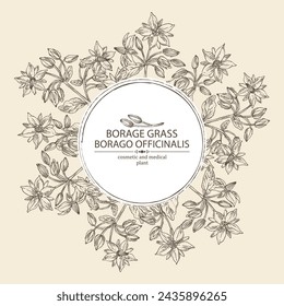 Background with borago officinalis: borago officinalis plant, leaves and borago officinalis flowers. Borage grass. Cosmetic, perfumery and medical plant. Vector hand drawn illustration