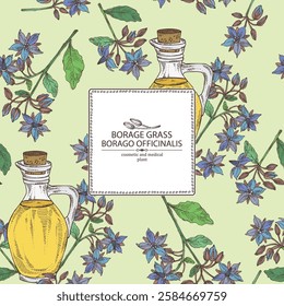 Background with borago officinalis: borago officinalis plant, leaves, borago officinalis flowers and bottle of borago oil. Borage grass. Vector hand drawn illustration.