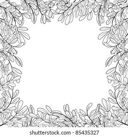 background with a border of leaves of plants, contours