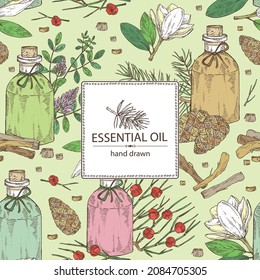 Fondo con botella con aceites esenciales: aceite de magnolia grandiflora, aceite esencial de regaliz, cono de pino, efedra. Cosmética, perfumería y planta médica. Ilustración dibujada a mano por el vector