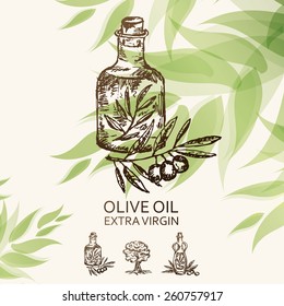 Background with bottle with olive oil. hand drawn 