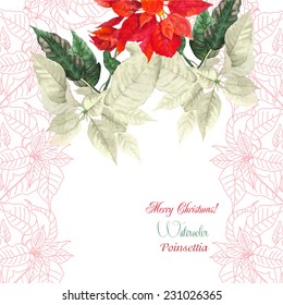 Background  with bouquet of  Christmas poinsettia. Vector watercolor illustration