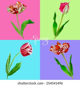 Background with bouquet of tulips.Vector Illustration