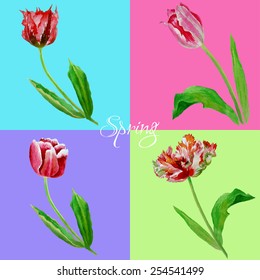 Background with bouquet of tulips.Vector Illustration